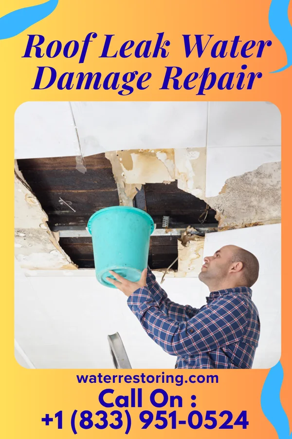 Roof Leak Water Damage Repair in Gainesville, MO